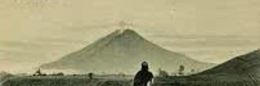 tenagasisa's profile banner image
