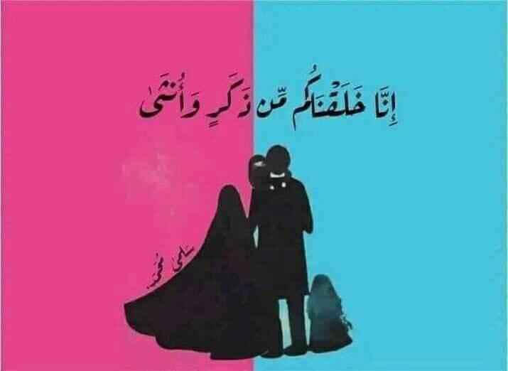 🔻🔻🇵🇸Beebaty banner
