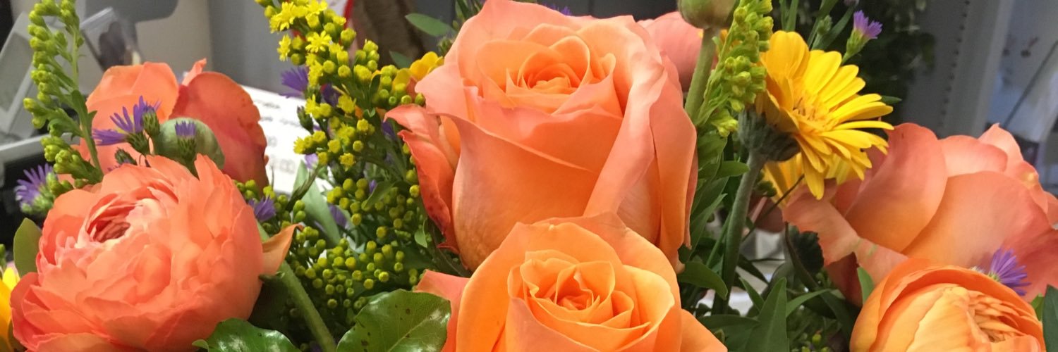 magnoliaoftring's profile banner image