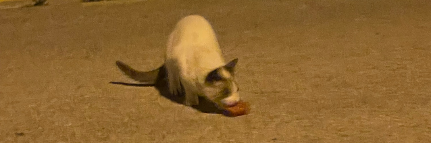 untypicalien's profile banner image