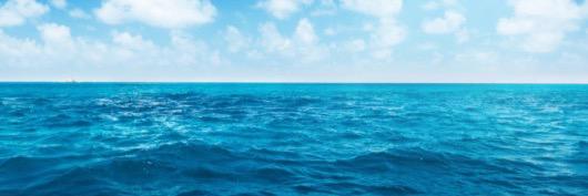 savetheoceans33's profile banner image