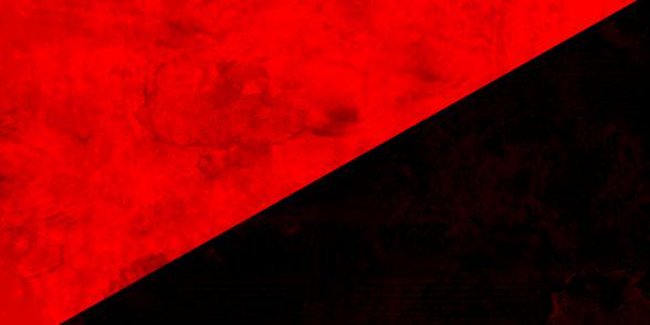 🇦🇹 Nizo 🇦🇹 banner