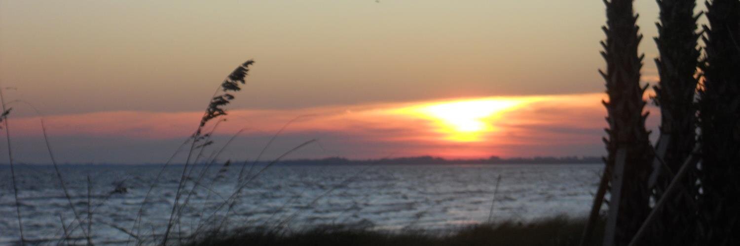DogwalkerCarol's profile banner image