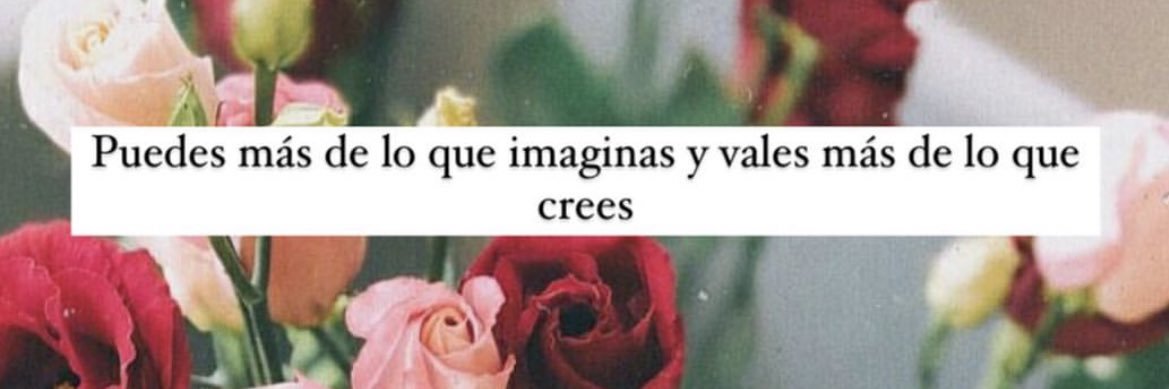 alejatorresr's profile banner image