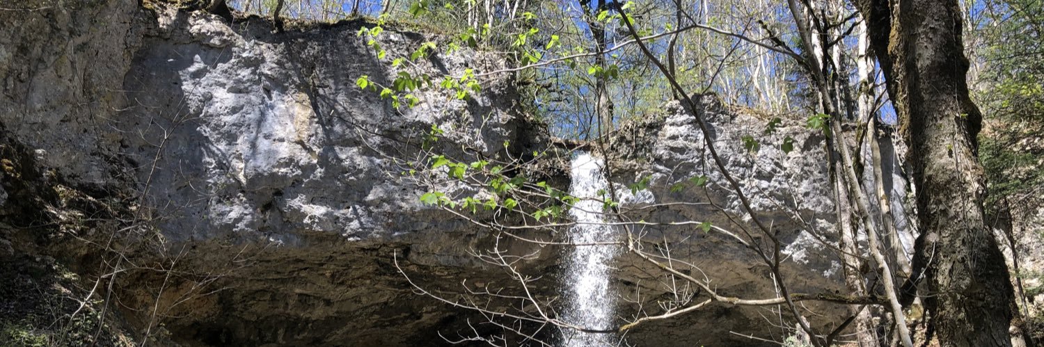 🌱 Ganbin.xch 🌱 banner