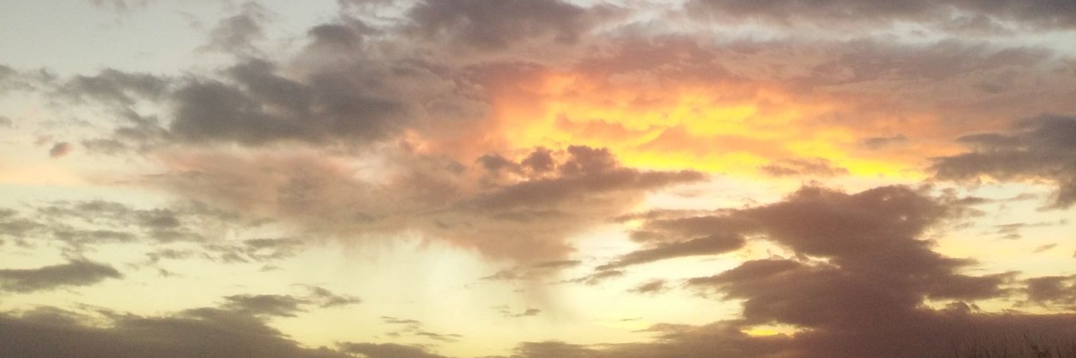 radiahaidar's profile banner image