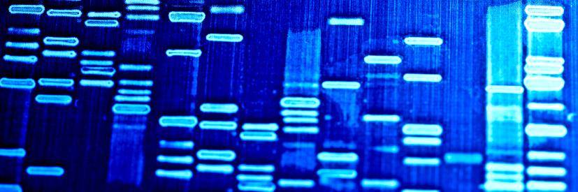 Berg Lab at UNC-CH banner