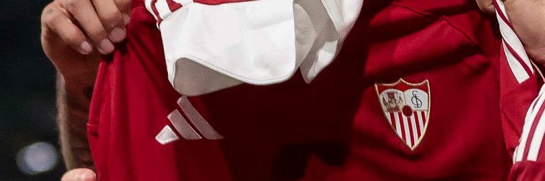 Fran Torres ® banner