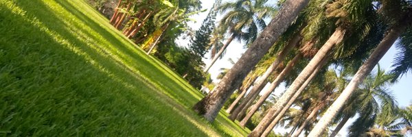 a_nyenyo Profile Banner