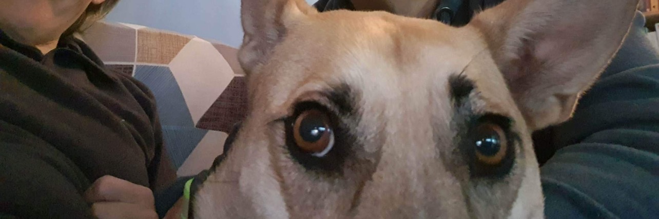 zhaan5's profile banner image
