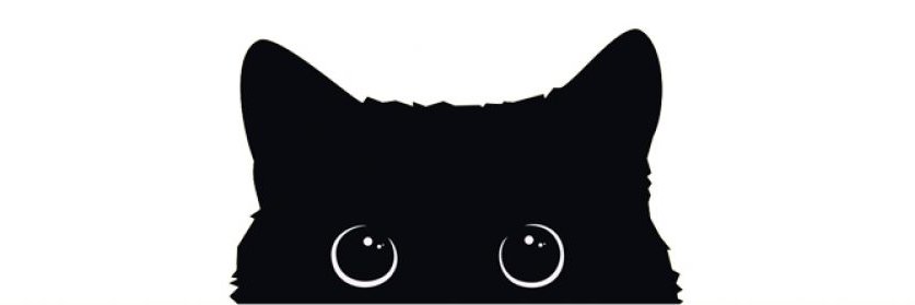 AriVazcor's profile banner image