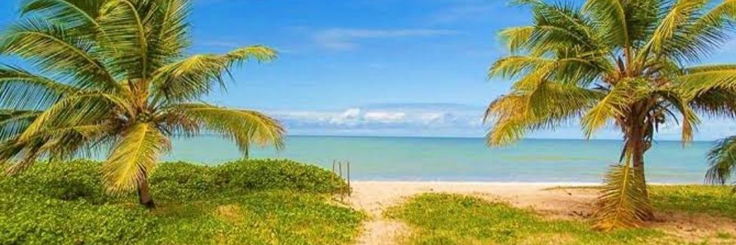 Agassiz Almeida Filho banner