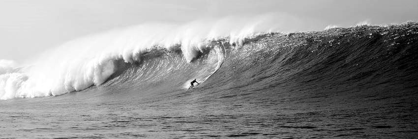 APILA Capital banner