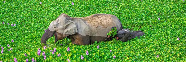 K_e_v_20 Profile Banner