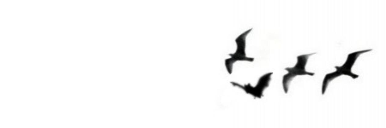 xa2's profile banner image