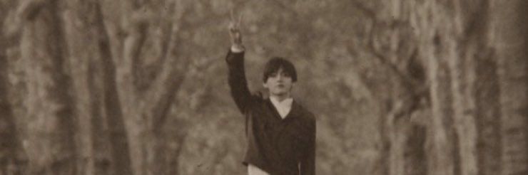𓃠 banner