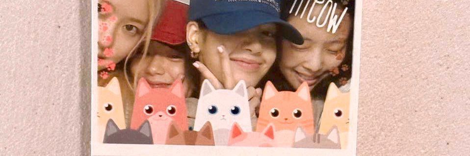 boombimbubble's profile banner image
