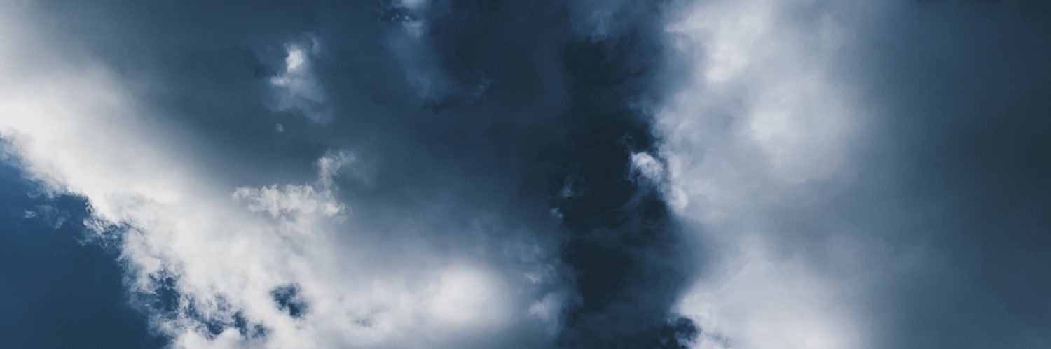 TweetMargo's profile banner image