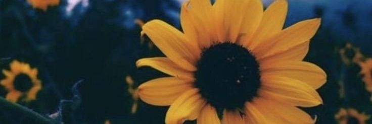 ValeeAcebedo's profile banner image