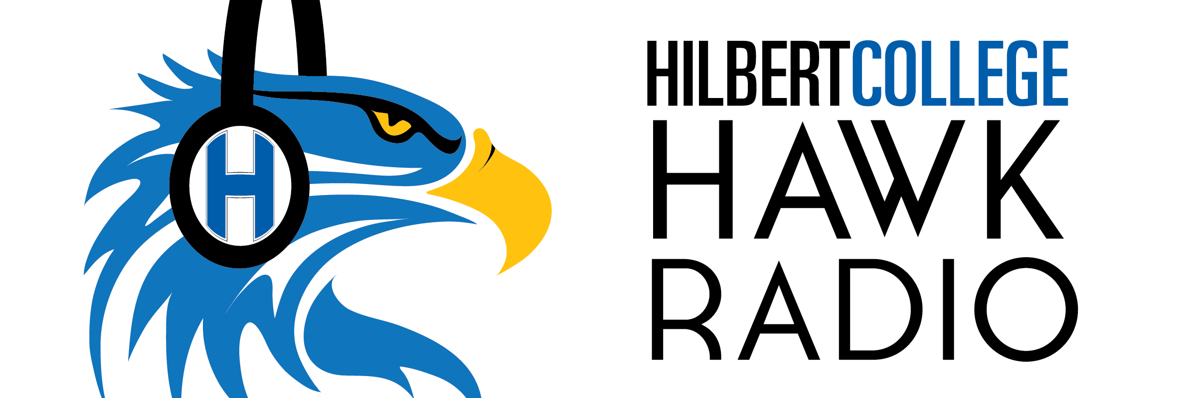 HilbertHAWK's profile banner image
