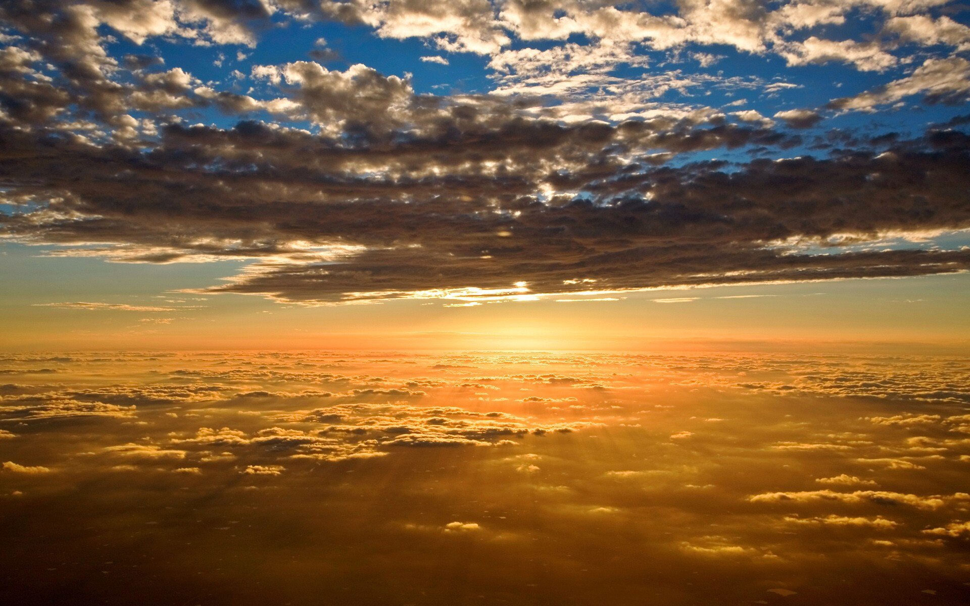 danamm_'s profile banner image