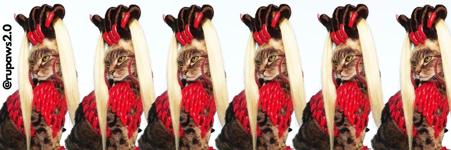 RuPawsDragRace's profile banner image