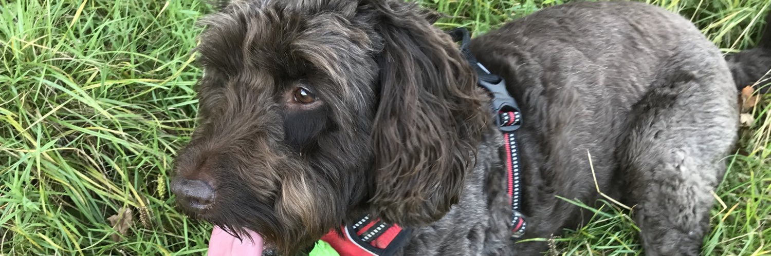 TillWurner's profile banner image