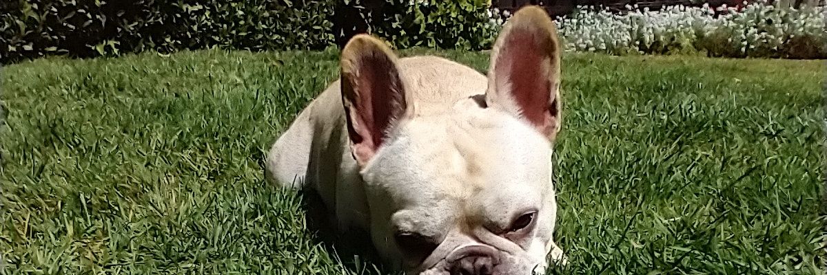 superpeon48's profile banner image