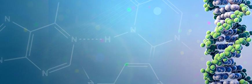 HHMI BioInteractive banner