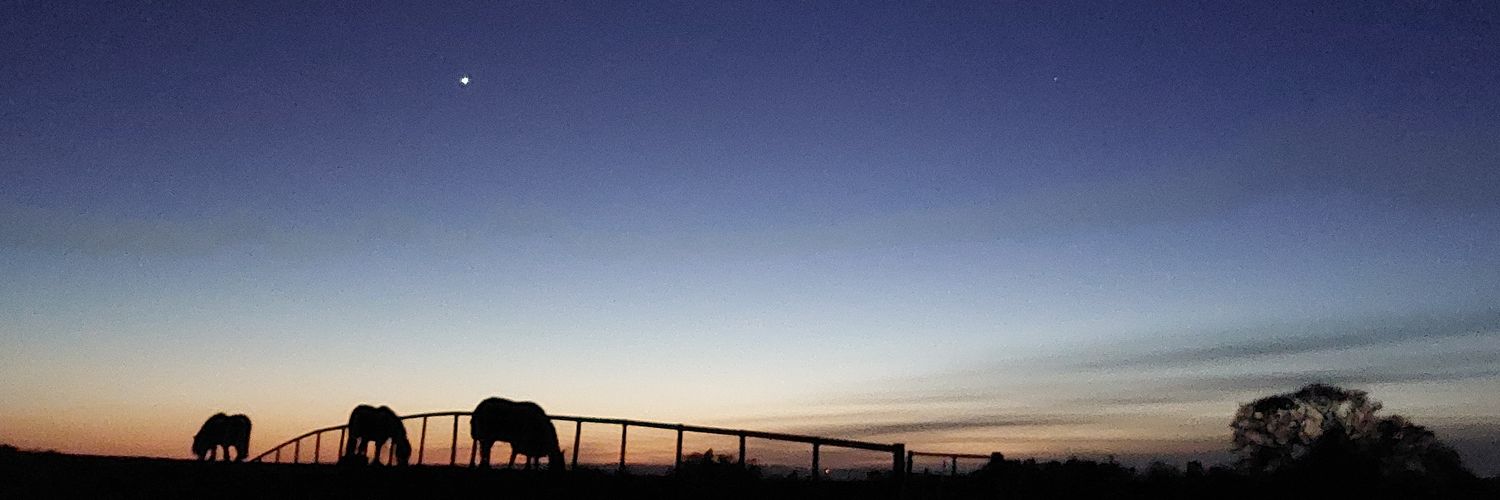 SmallholdingH's profile banner image