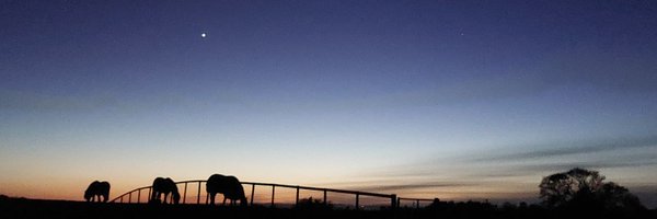 SmallholdingH Profile Banner