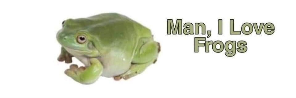 shaemart's profile banner image
