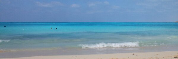 medhatgalal Profile Banner