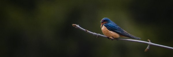 macroguelph Profile Banner