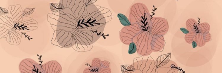 PaulaFiladelfo's profile banner image
