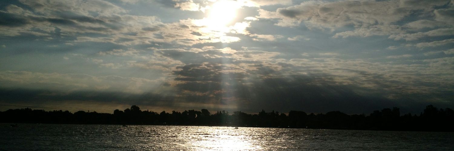 Botti banner