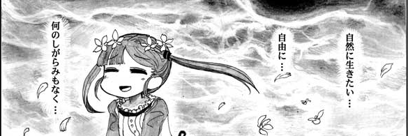 sorenari2's profile banner image