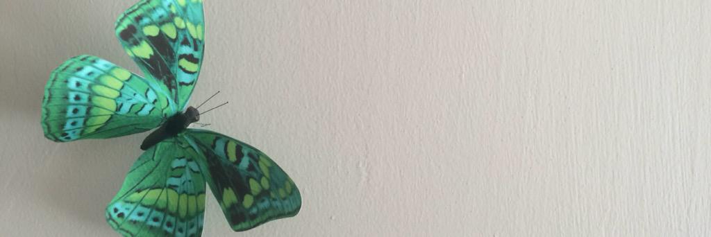 Kayhanmonobrow's profile banner image