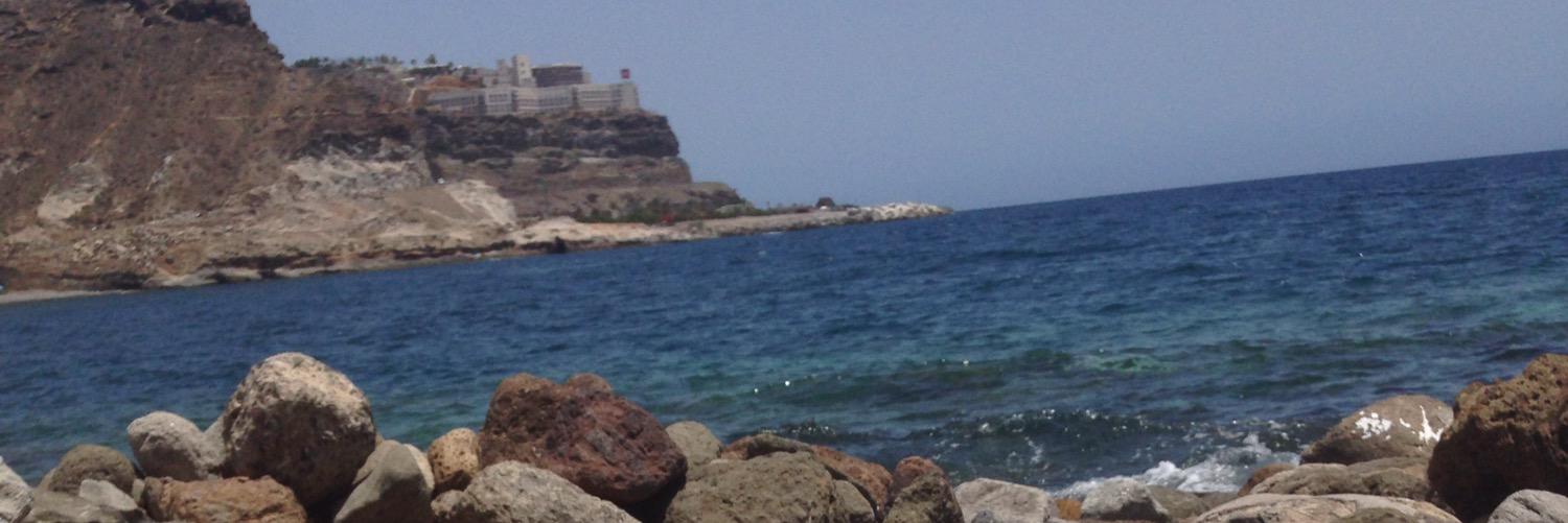 veronikkat's profile banner image