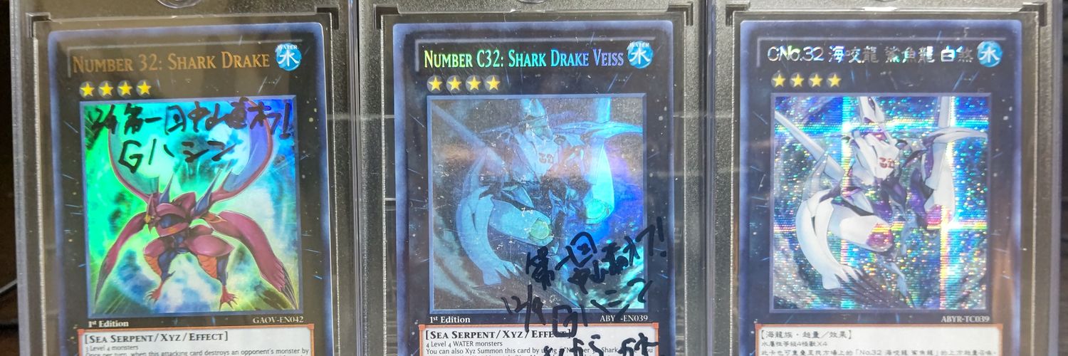 duelistjiko's profile banner image