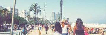 CKSteph's profile banner image