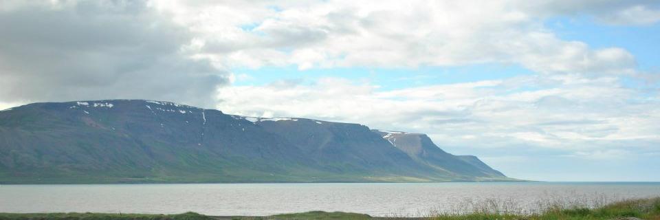 FChrisOliver's profile banner image