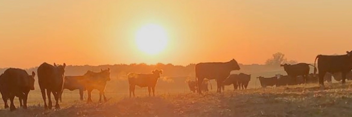 Colton_f32's profile banner image