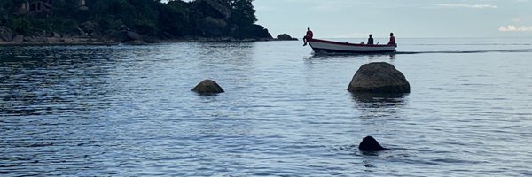 chimbalih Profile Banner