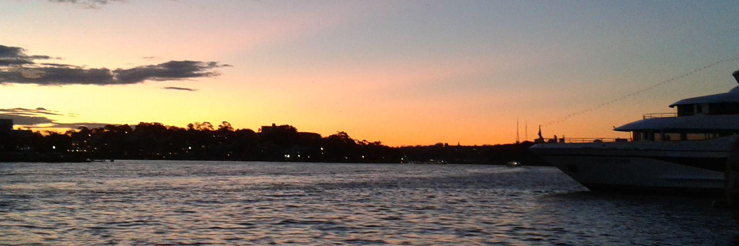 fishface8's profile banner image