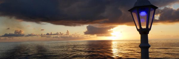 timbotweet Profile Banner