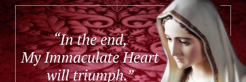KimMattox's profile banner image