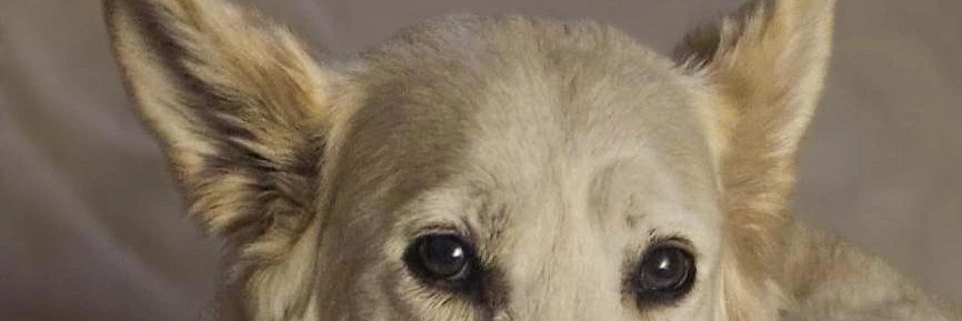 Rolopezparedes's profile banner image