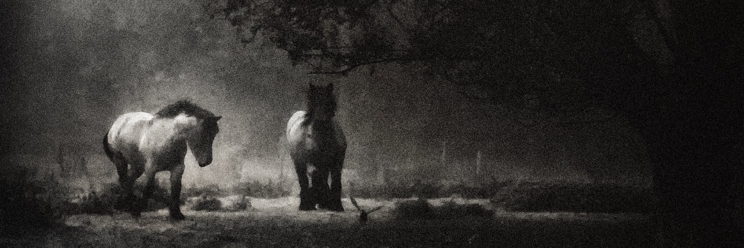 PietFlour's profile banner image