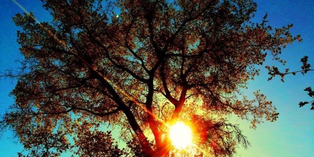 emilymcphee's profile banner image